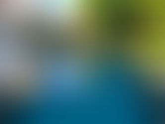 Piscine miroir dans un cadre naturel au cœur de Nancy, alternative à un hôtel avec piscine