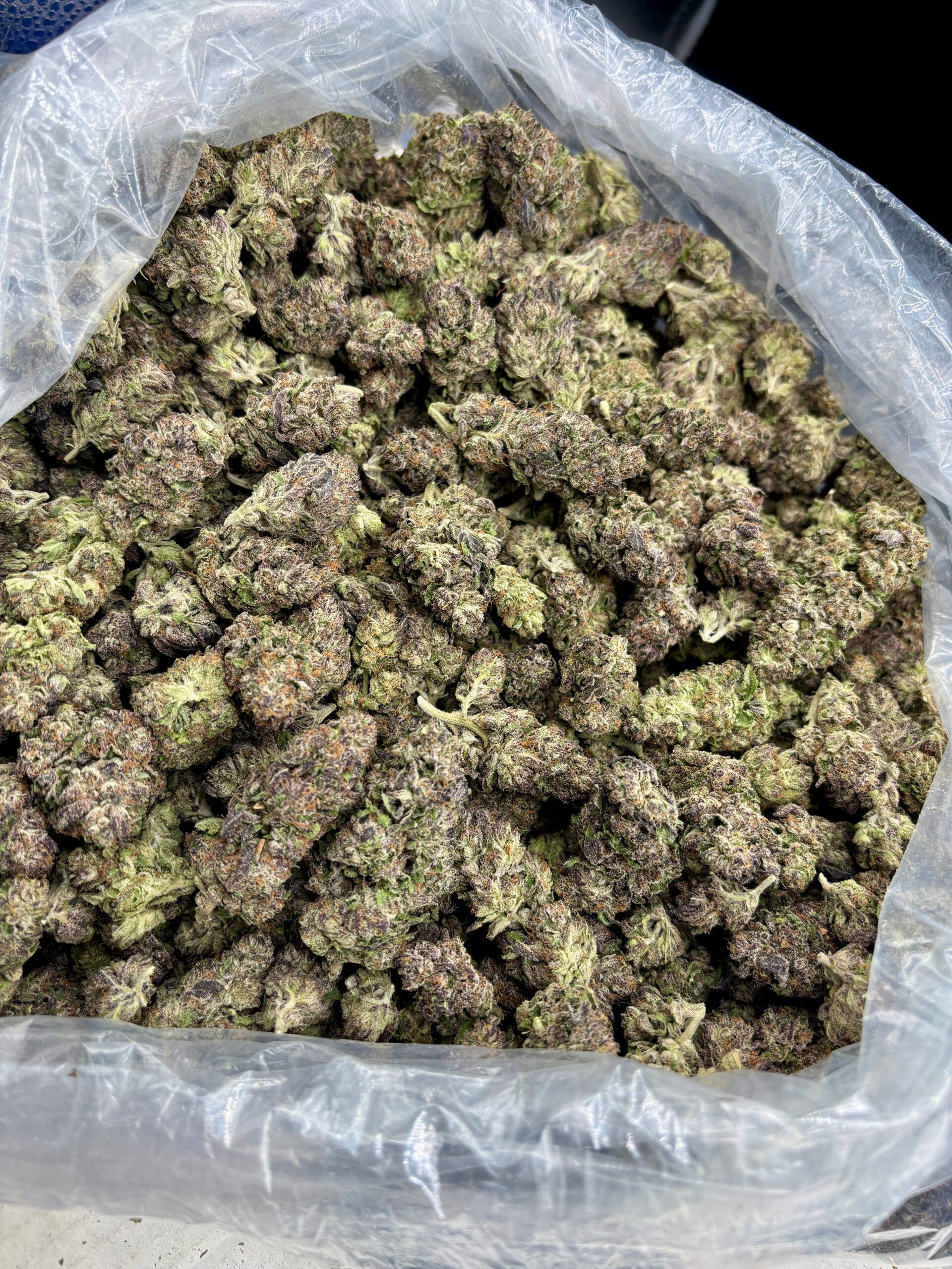 Under dawg THCa Flower
