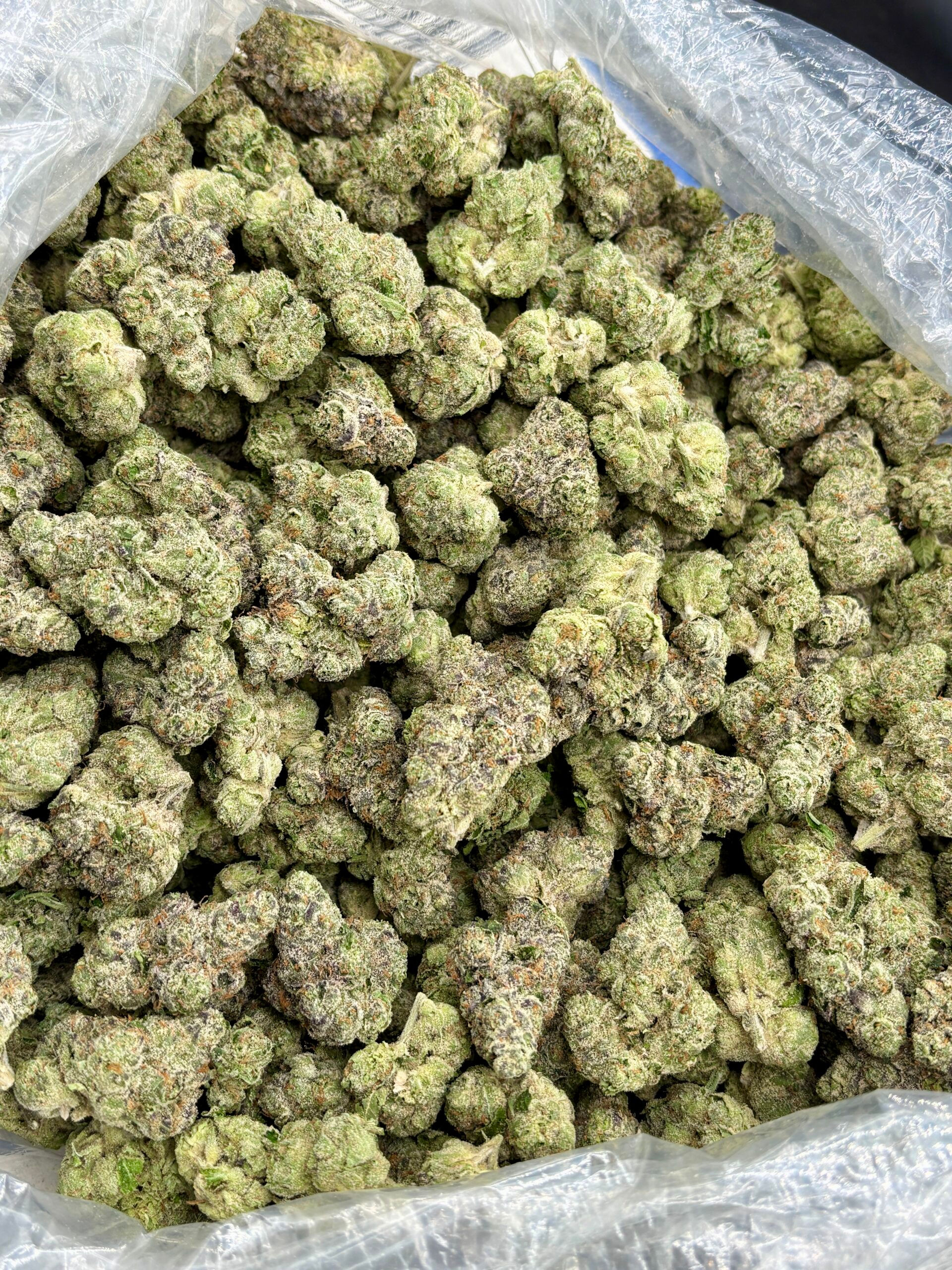 Cosmic Kush THCA Flower