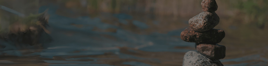 Berger (8)_edited.jpg