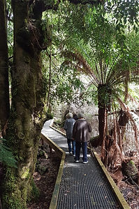 20210331_110431 (002).jpg