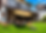 Re庭イメージ.png