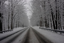 thumb_PIC 1_1024.jpg