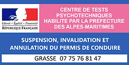 IMAGE TEST PSYCHOTECHNIQUE.png