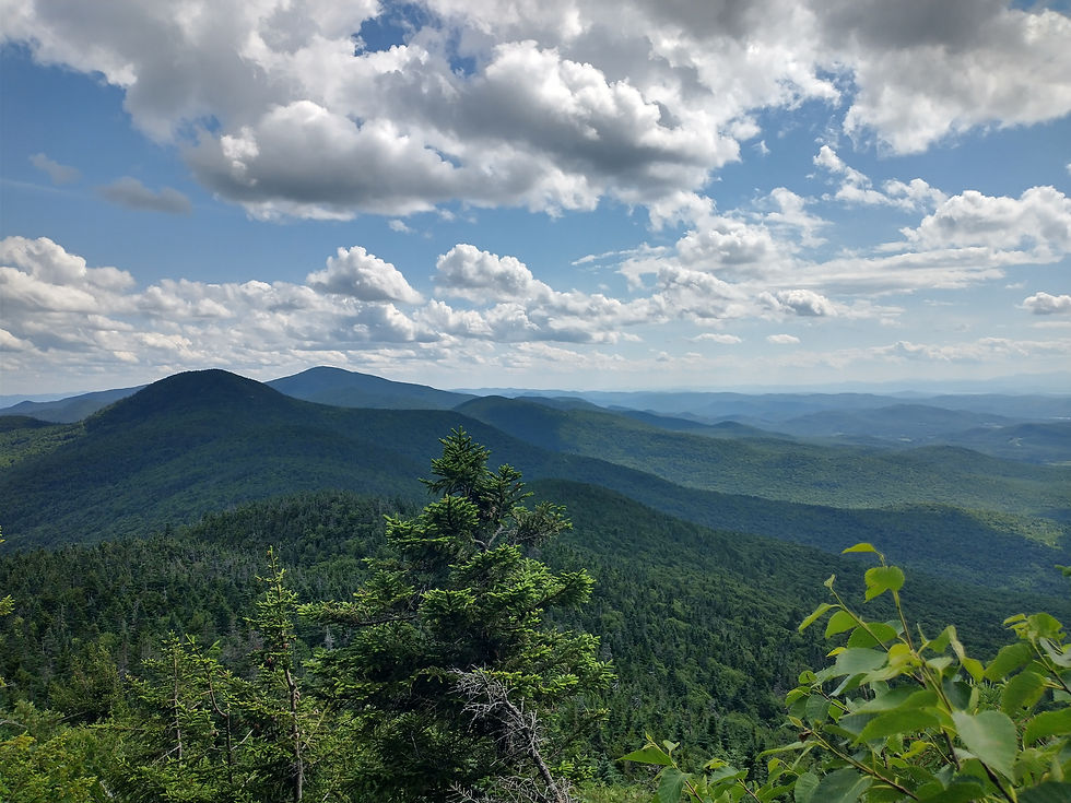 IMG_20220704_153344874_HDR.jpg