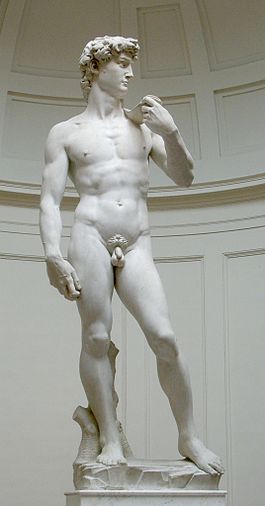 david