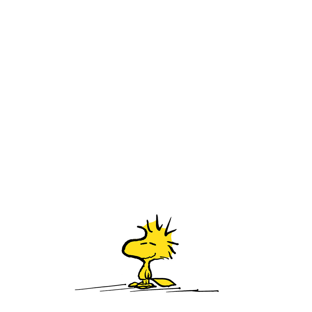 Woodstock Peanuts Woodstock Peanuts