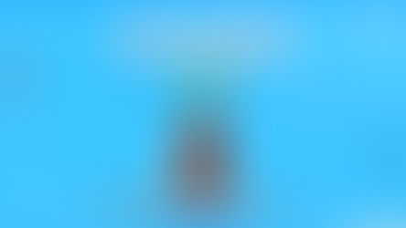 How are Corporate FDs different from Bank FDs?