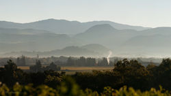 View from Staglin Family Winery