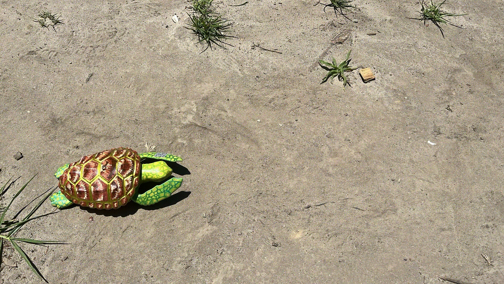 My_Stop_Motion_Movie(6) (1).gif