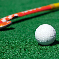 Hockey Stick