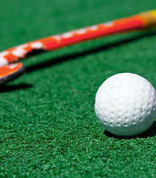 palo de hockey