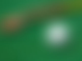 a hockey stick and ball on a field