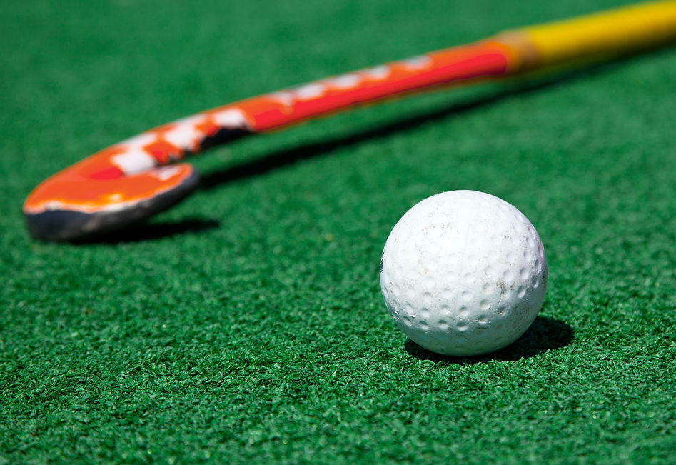 palo de hockey
