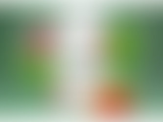 ProDentim Review: ProDentim's Latest Research on Oral Health and Bacterial Populations