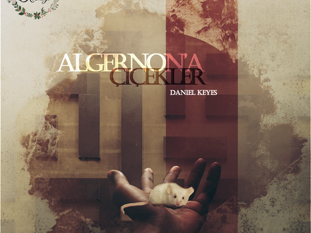 Algernon'a Çiçekler - Bir Kitap İncelemesi