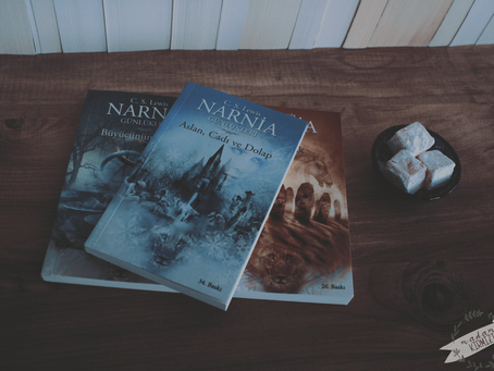 Narnia Günlükleri | Aslan, Cadı ve Dolap | At ve Çocuk - İki Kitap İncelemesi