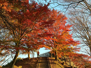 スタッフのおすすめ（福島編）