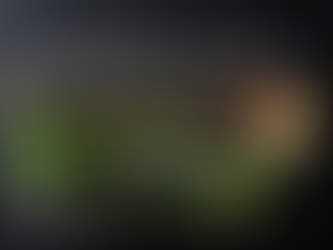 【お日にち限定】ご昼食プラン