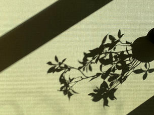 最近のいろいろ