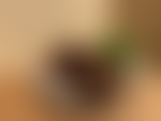 初めてのオンライン講義