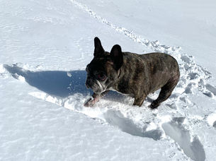 雪あそび
