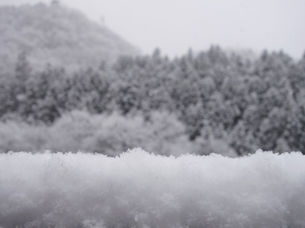 冬の色、雪景色...