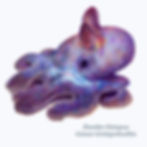 Dumbo Octopus