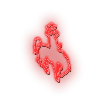 RODEO VISUALS PNG.png