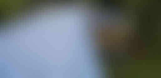 Metal Roofs in Different Colors