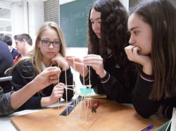 Picasa - SAM_0060 [1024x768].jpg