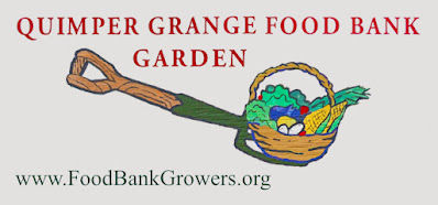 Food Bank Garden.jpg