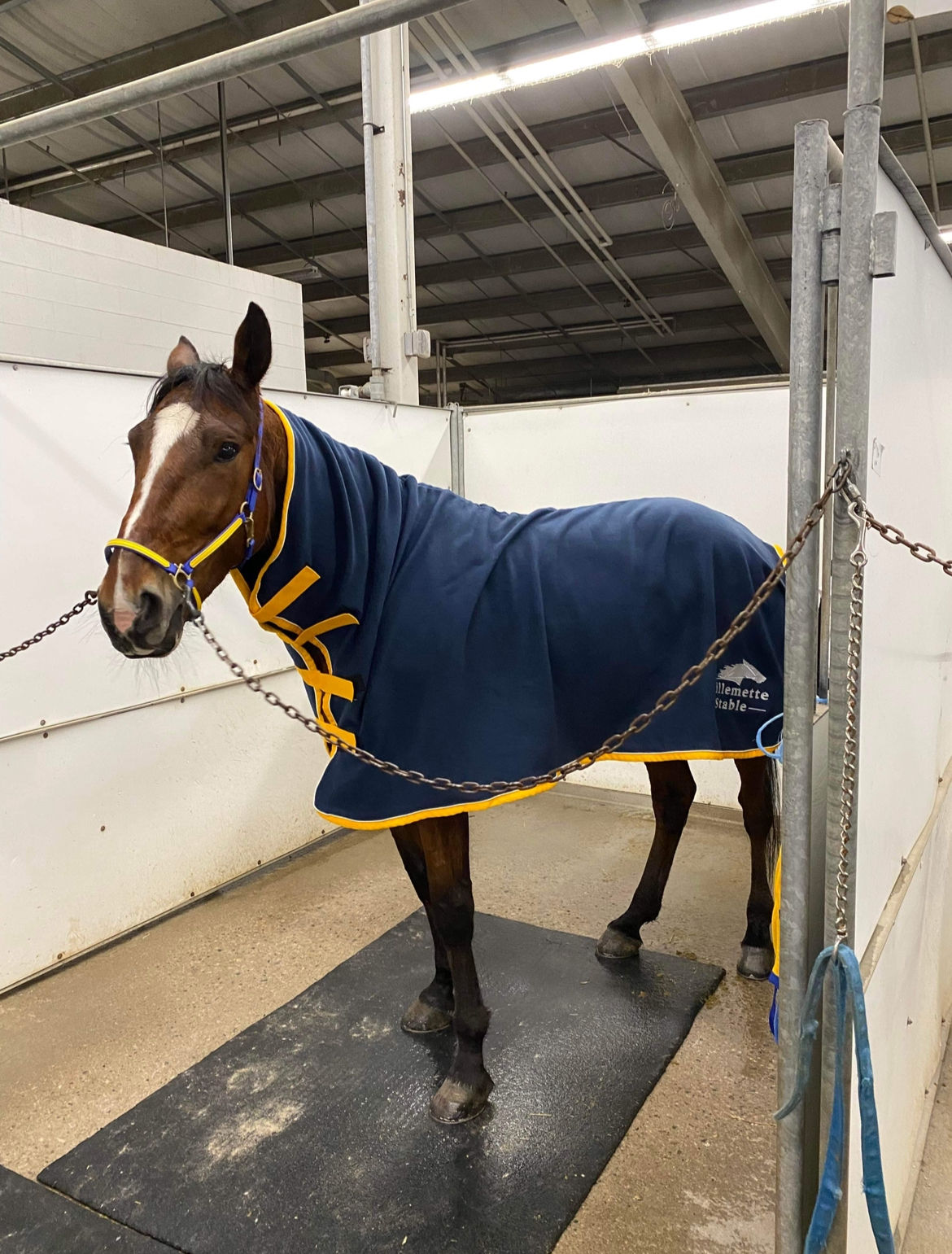 Fleece High Neck Cooler