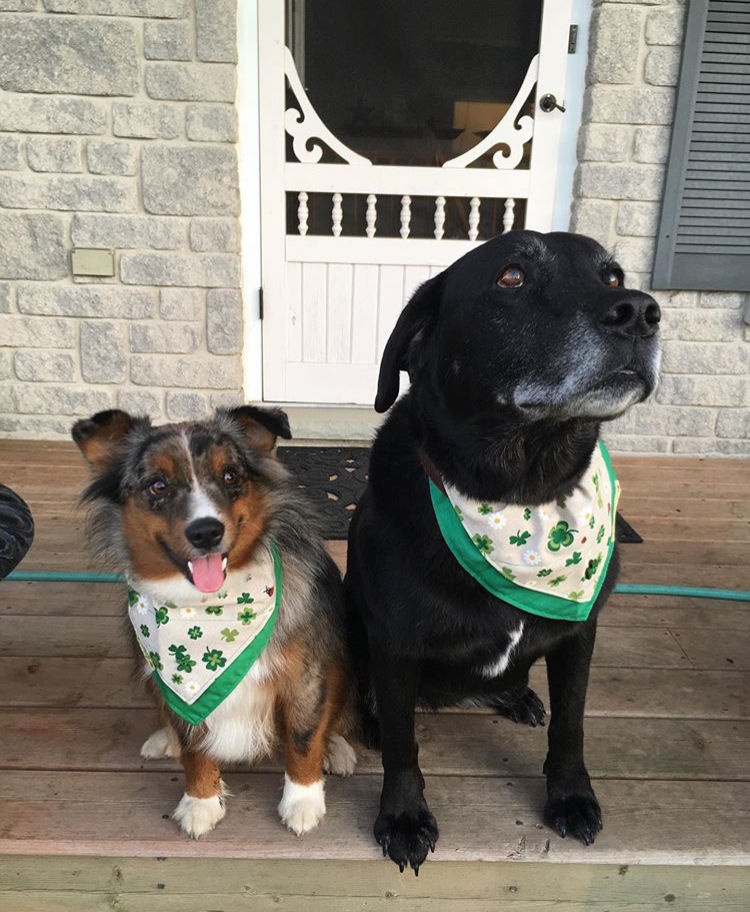 Thumbnail: 'Happy Little Irish Neckerchief Bandana
