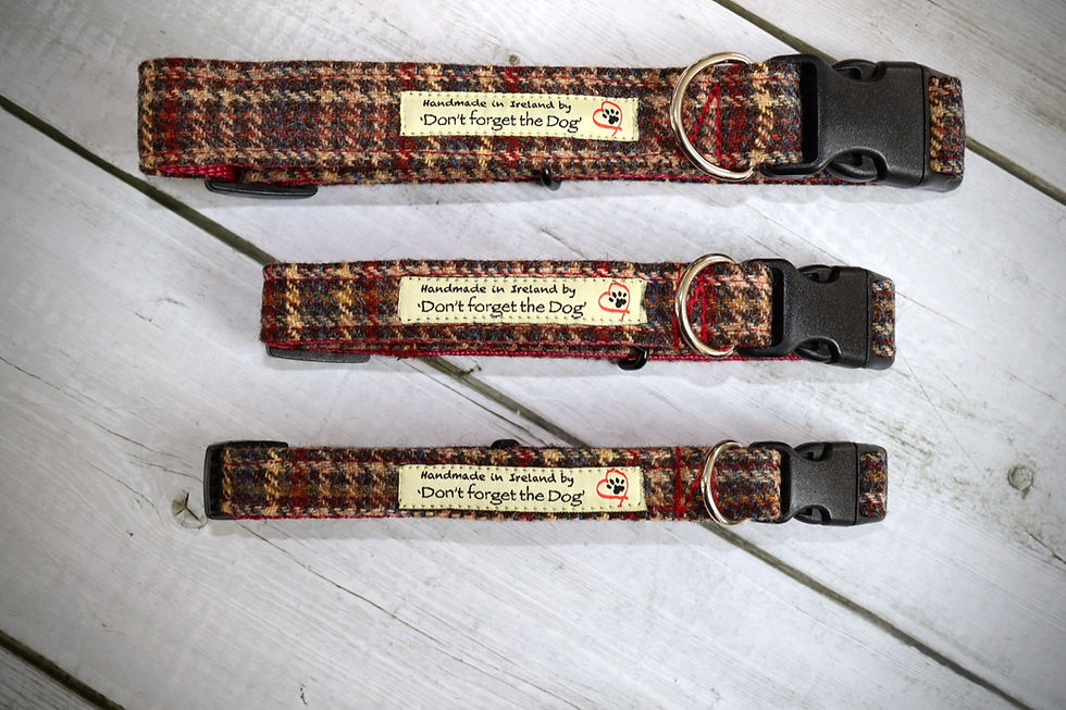 Multi Gun Club Check Tweed on Red Collar Plastic Buckle