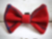 dicky bow.jpg