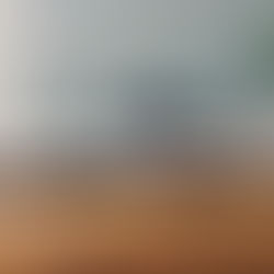 In 2023, Read the Bible!