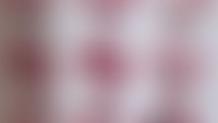 Taboo or not Taboo? Navigating Malagasy Fady