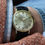 Miniature : Omega Automatic Seamaster réf 14770 cal 562