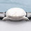 Thumbnail: Heuer Automatic New Old Stock Crème Dial AS1230 from 1950