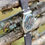 Miniature : YEMA Chronograph 17 jewels incabloc valjoux 7734