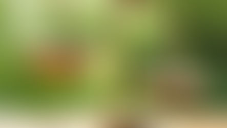 Blend with Trend – Yet Sustain Values