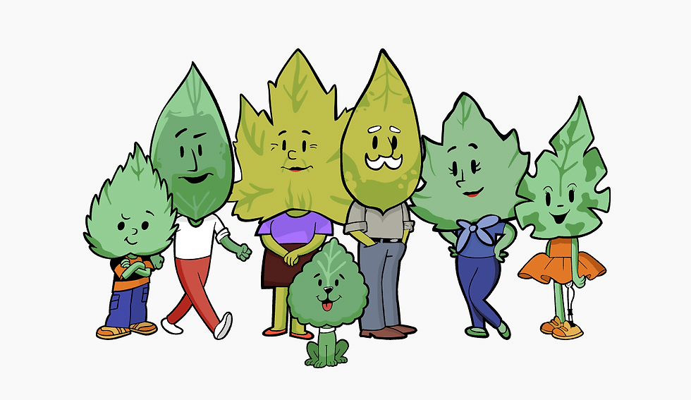 Desenho dos 7 integrantes da nova família folhas, são personagens em formato de folhas de árvore