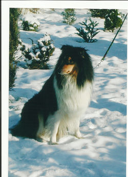 Old Golden gates ZERO