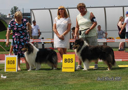 CACIB Częstochowa 07.2015