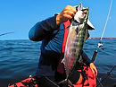 Coraline Coast Beach Resort Natural Fishery