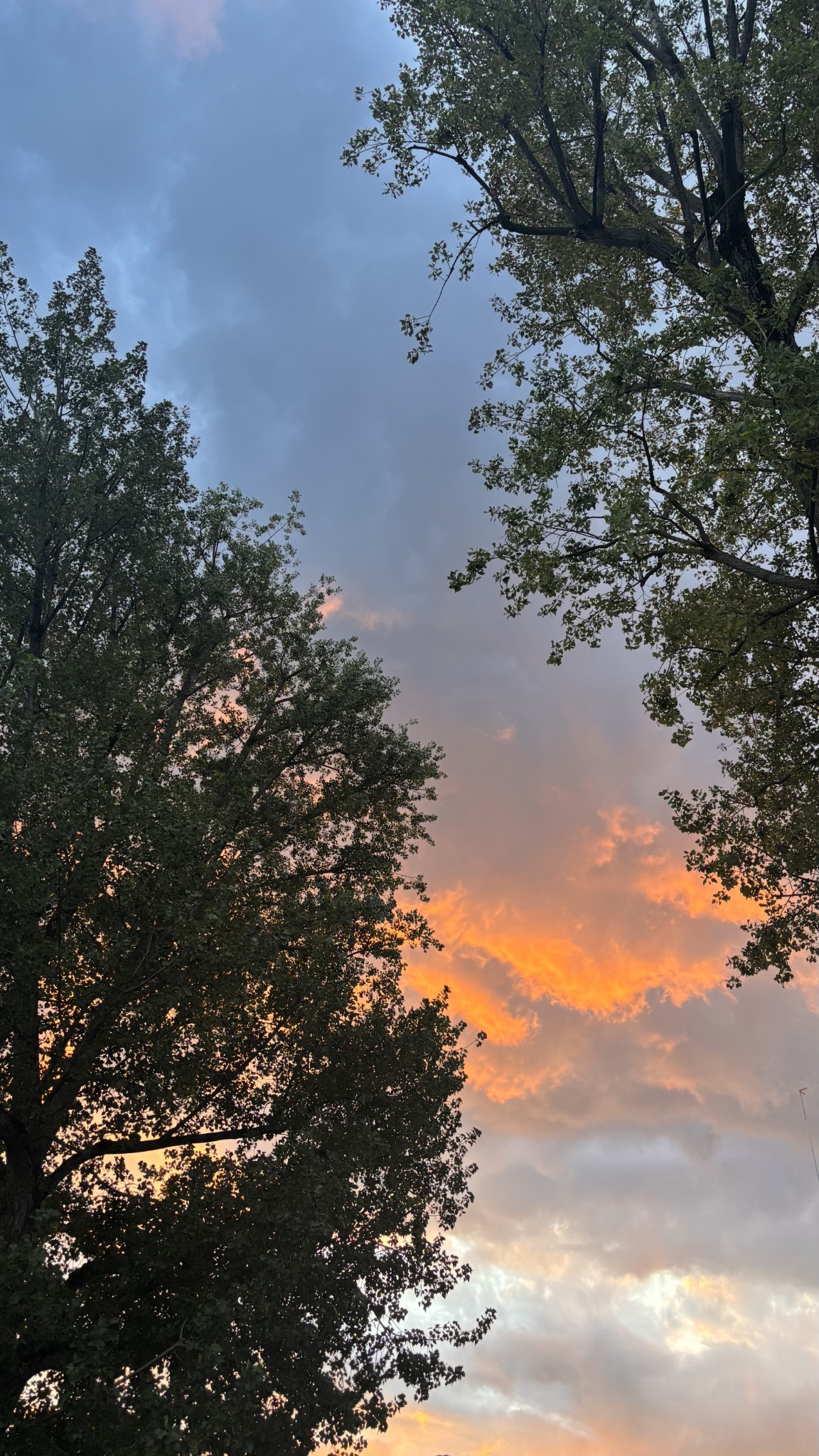 Dernières couleurs du ciel