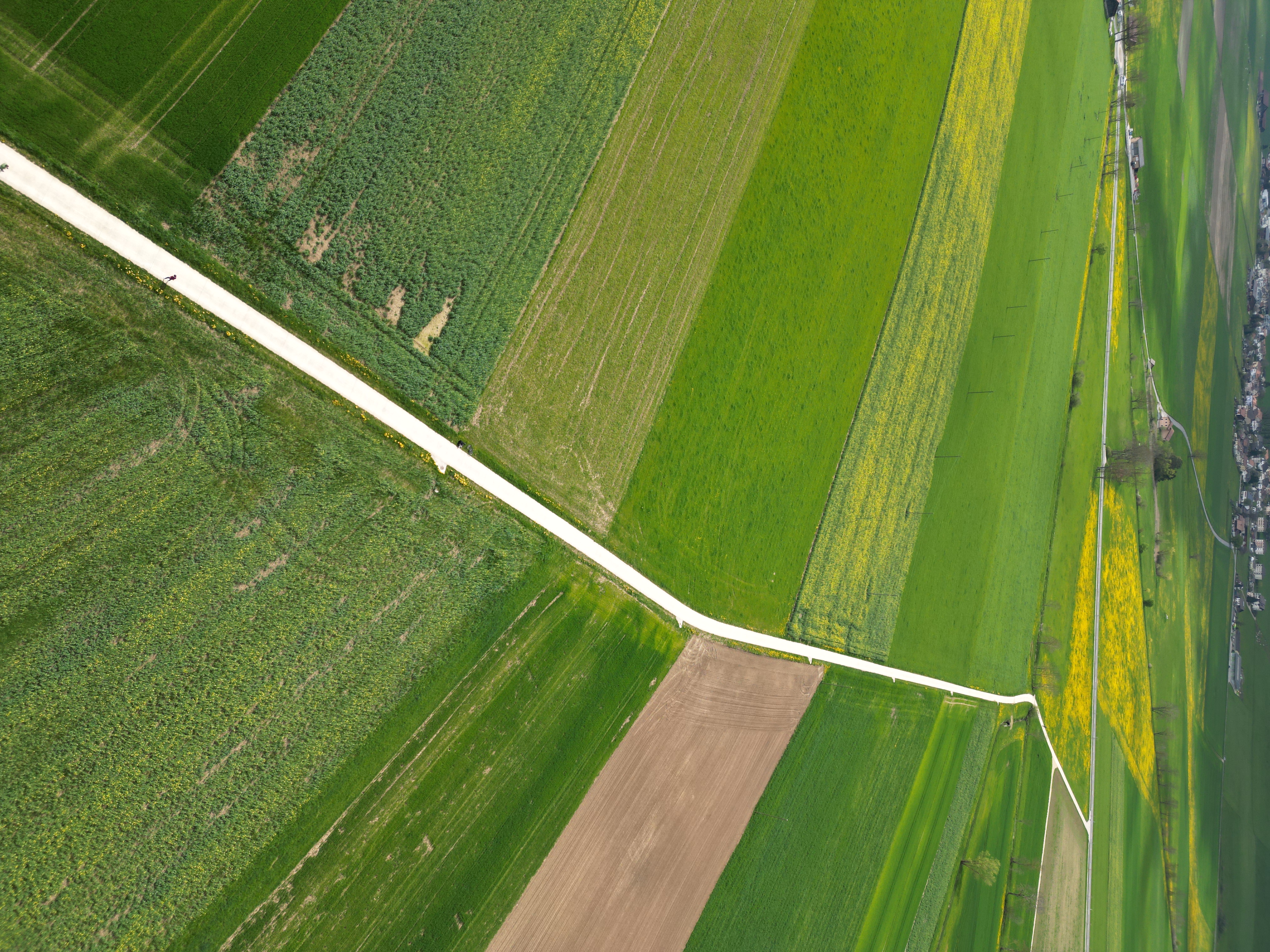 Traces dans les champs