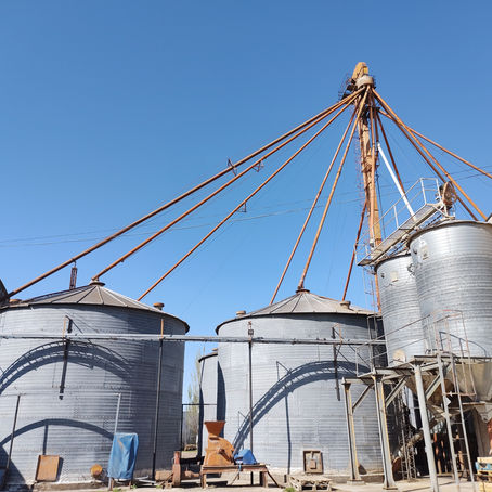 Carta de Porte Electrónica para Derivados Granarios.