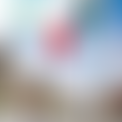 2° Misión Comercial WEF ARGENTINA en México, mujeres empresarias presentes.